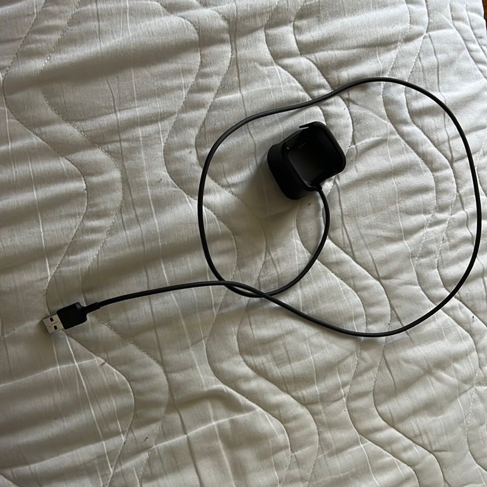 Fitbit charger